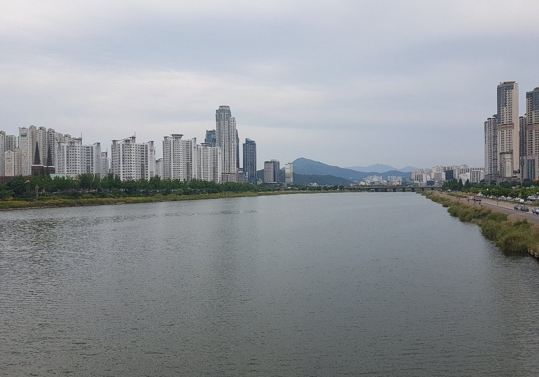 Ulsan Bridge景点图片