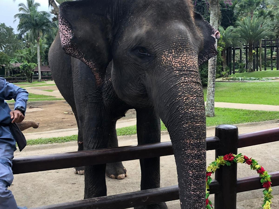 Ketut Bali Drivers-登巴萨必去景点