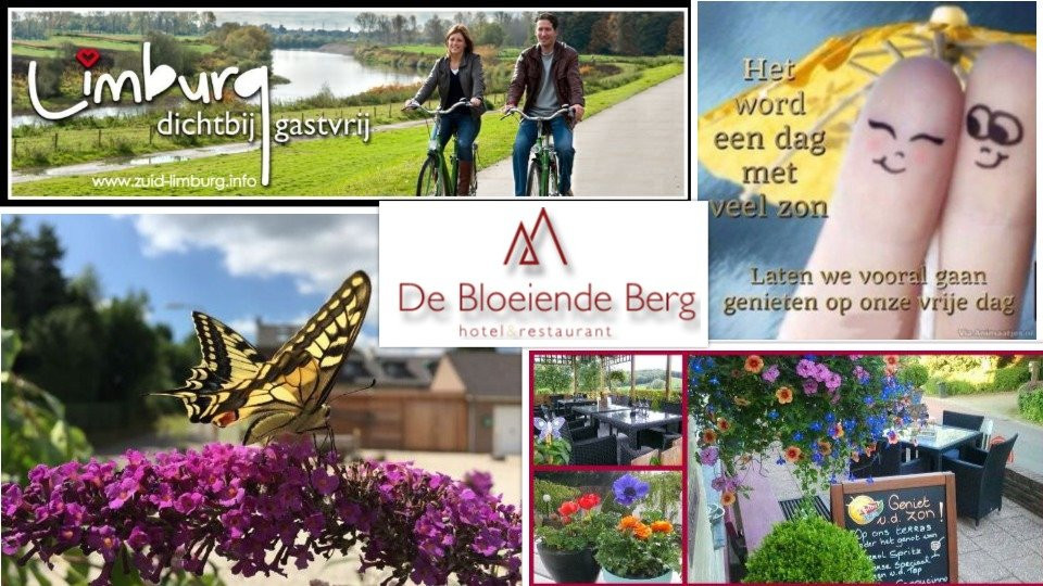 De Bloeiende Berg主图