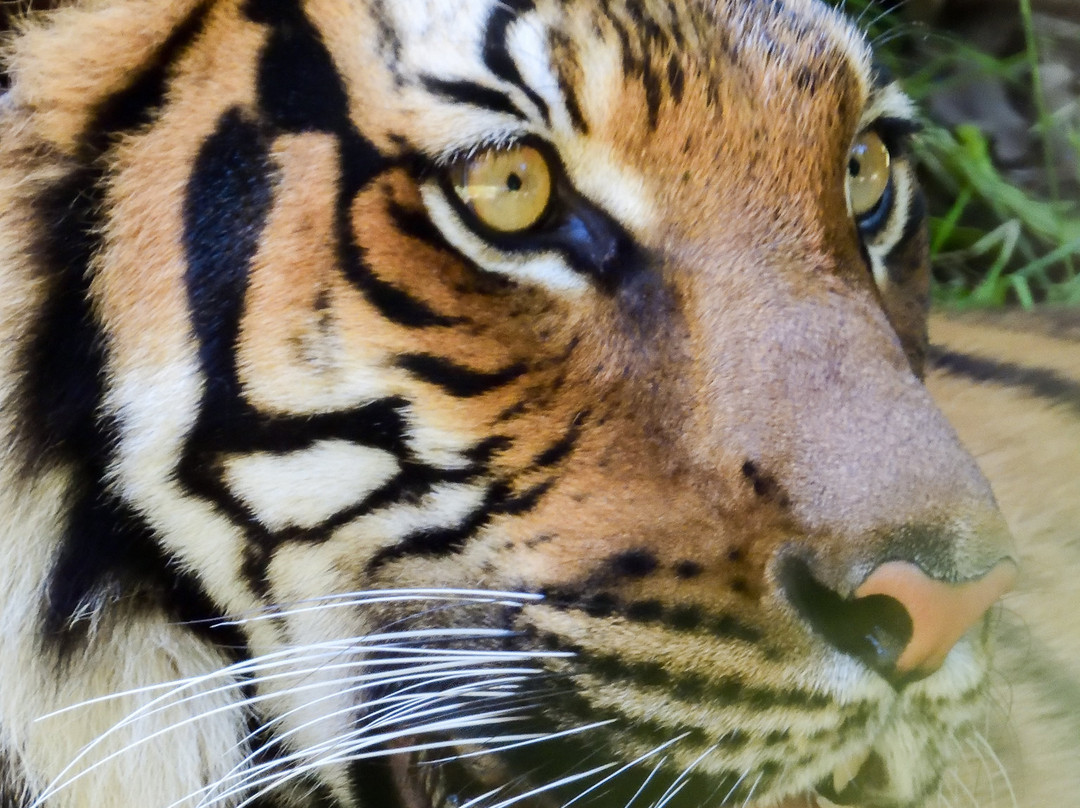 Alexandria Zoological Park景点图片