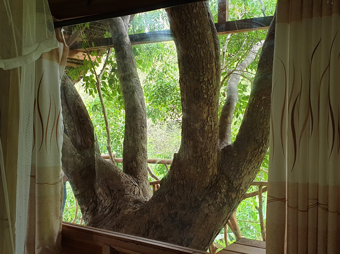 Ambasewana Resort主图