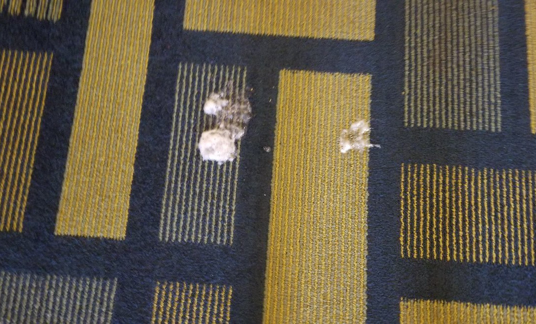 Quality Inn Tulsa – Downtown West主图