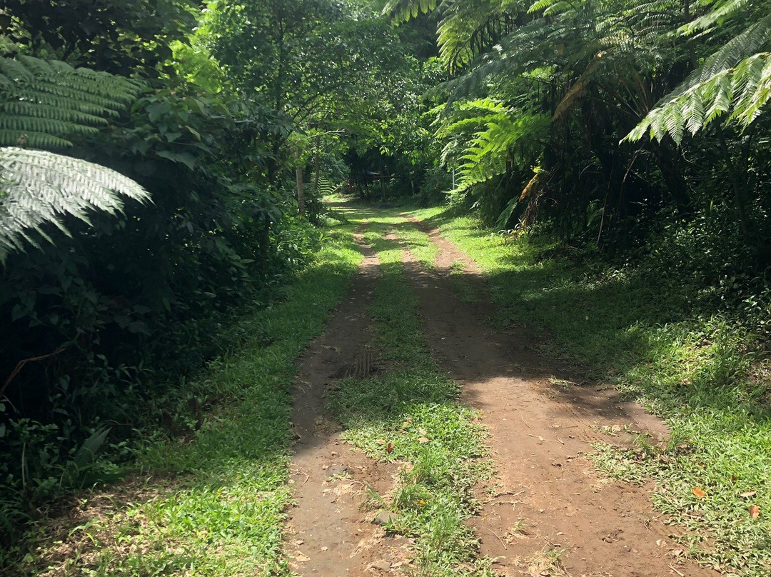 Malabsay Falls-纳加必去景点