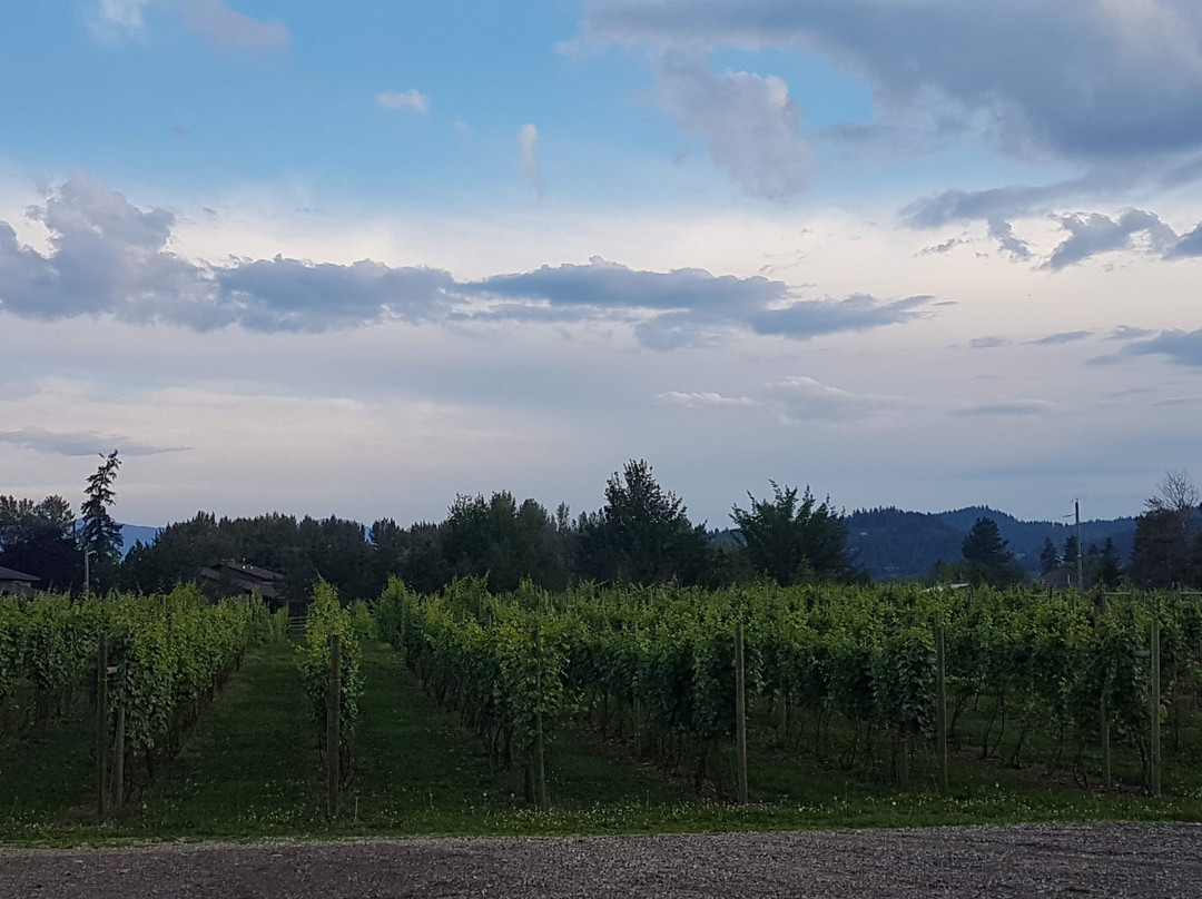 Waterside Vineyard & Winery景点图片