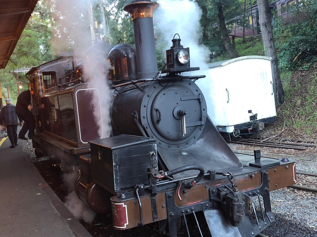 普芬比利蒸汽小火车景点图片