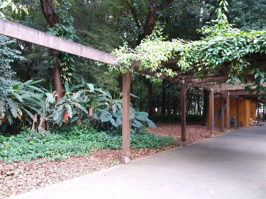 Parque Prefeito Mário Covas景点图片