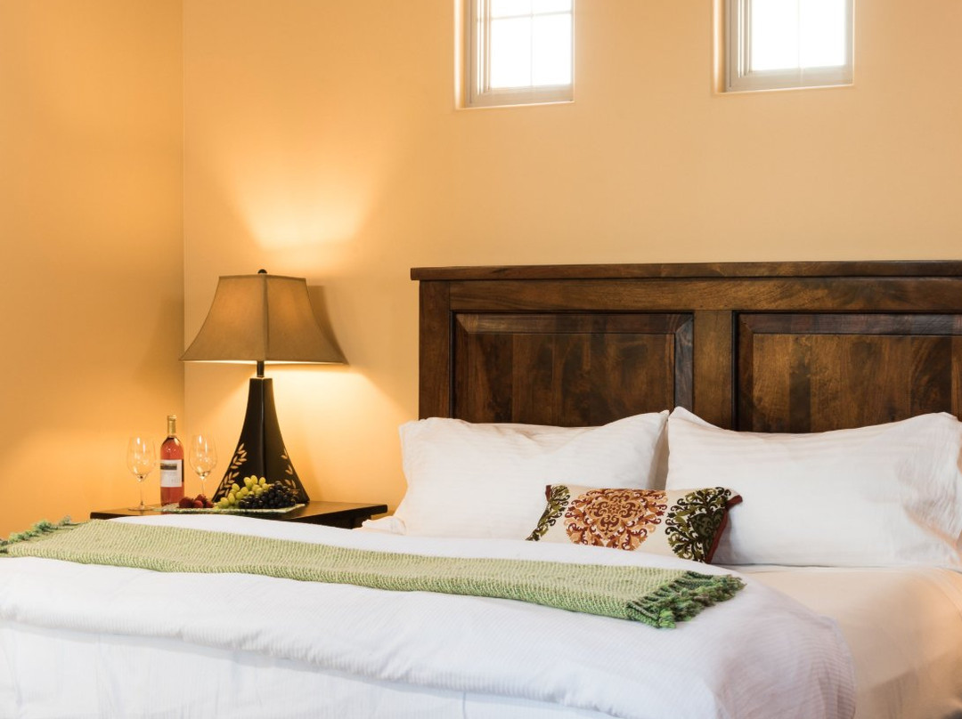 The Vineyard at Florence主图