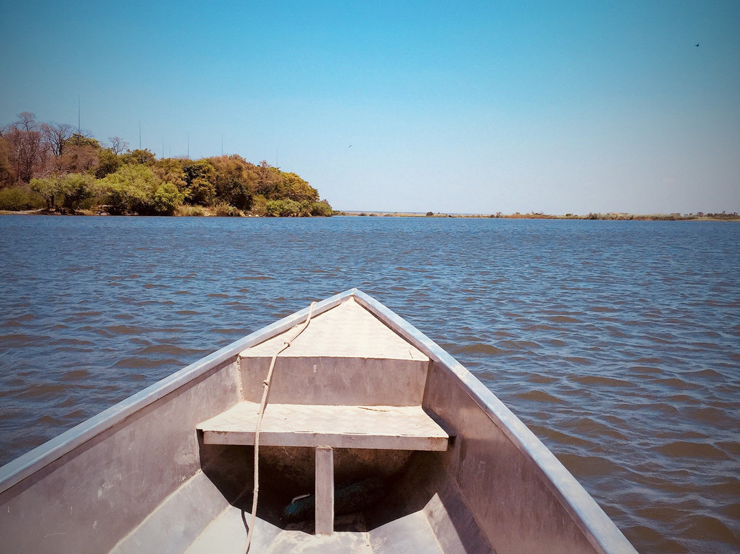Chobe River Boat Cruises景点图片