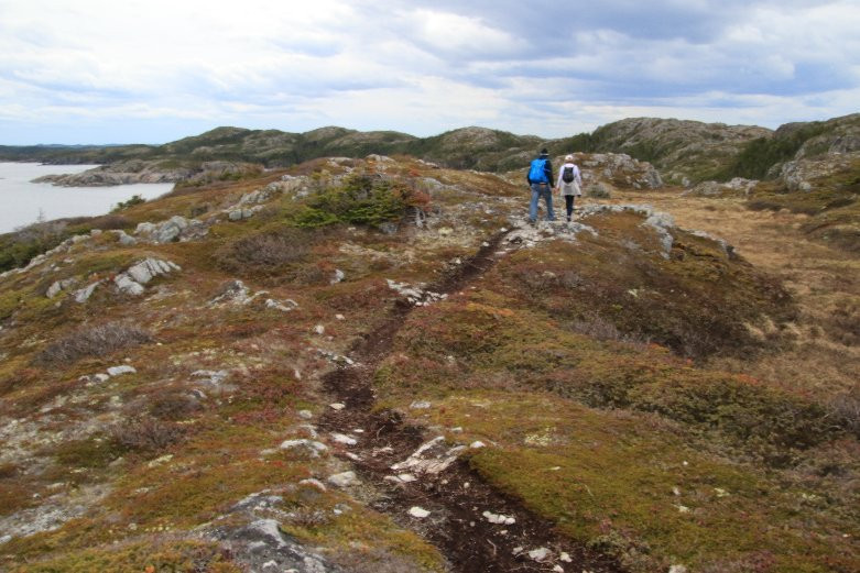 Lower Little Harbour Trail景点图片