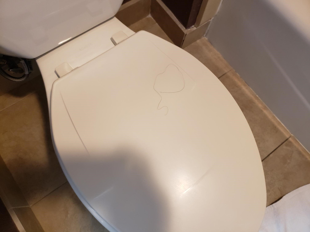 City Express by Marriott Santa Ana/Orange County Airport主图