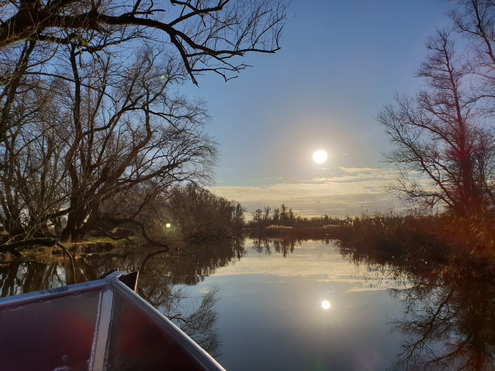 De Biesbosch In景点图片