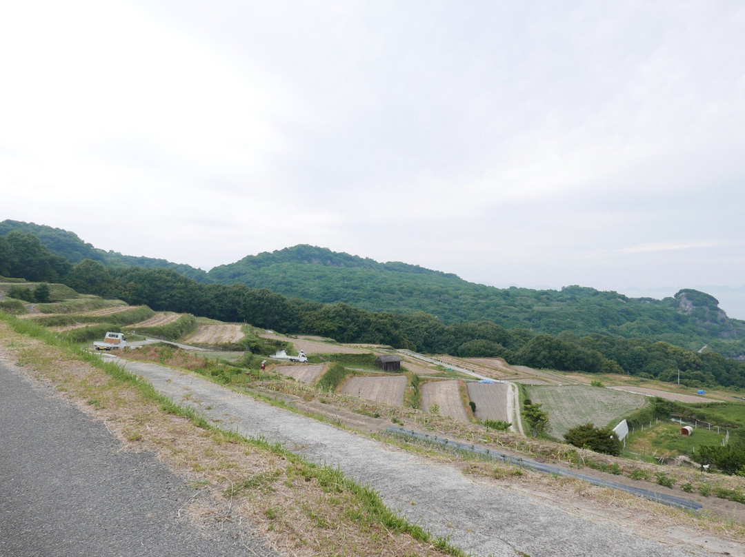 Teshima Terraced Rice Field Project景点图片