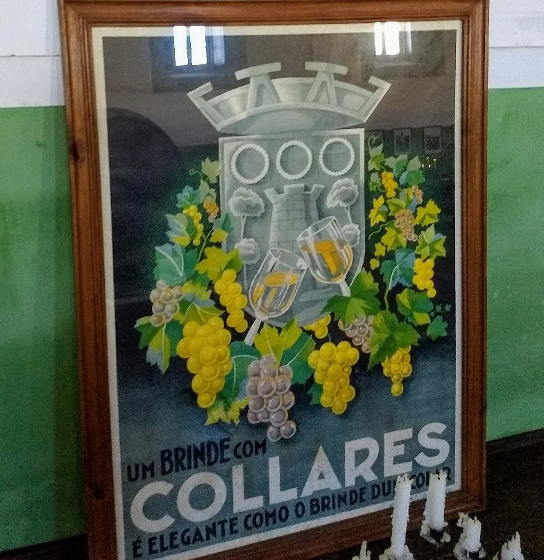 Adega Viúva Gomes景点图片