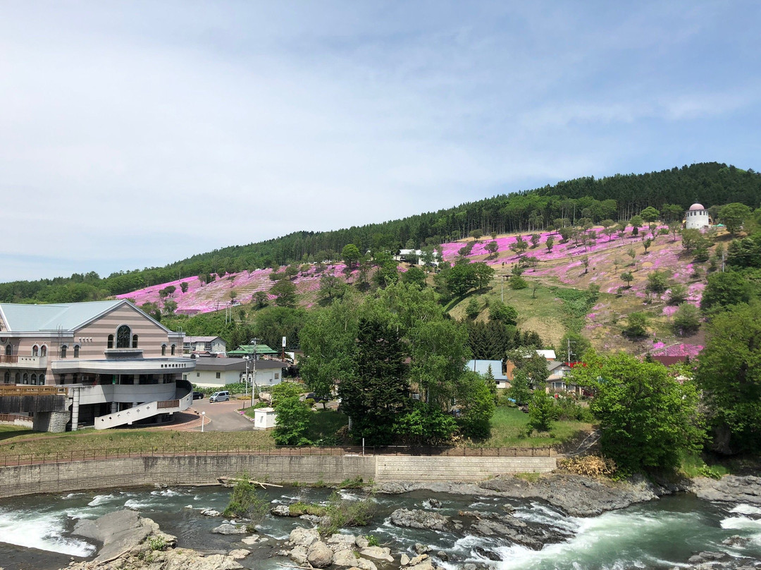 Shibazakura Takinoue Park-泷上町必去景点