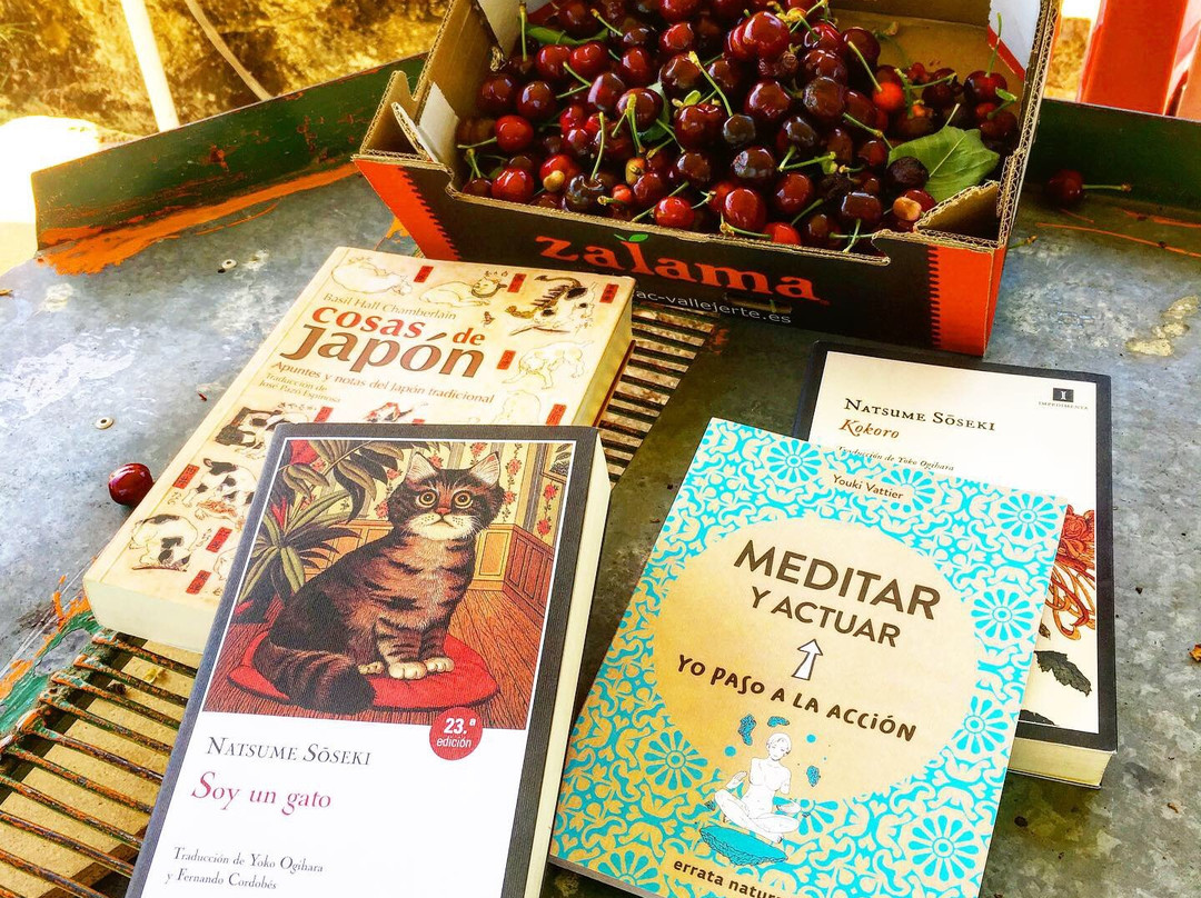 Libreria La Puerta de Tannhauser-Plasencia必去景点