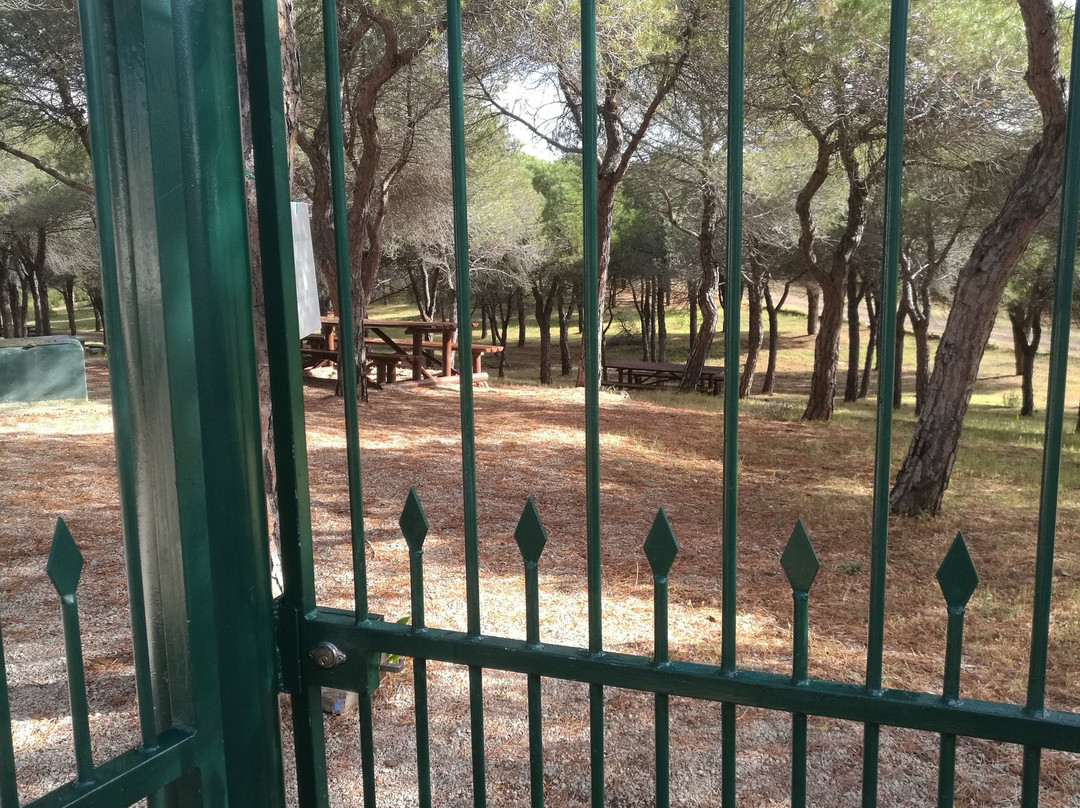 Parque Mata Da Conceicao-null必去景点