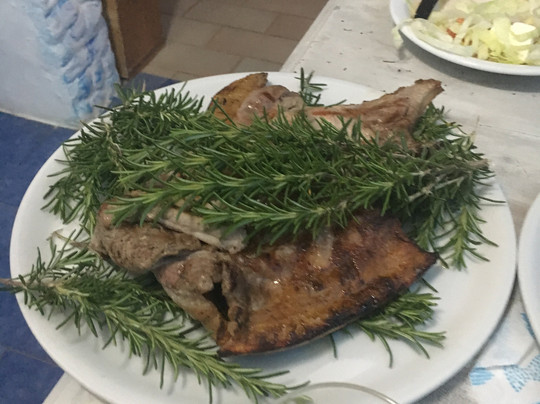 Agriturismo Lo Scrigno主图