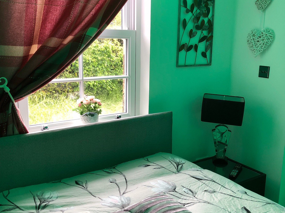 Clara Lodge Guesthouse主图