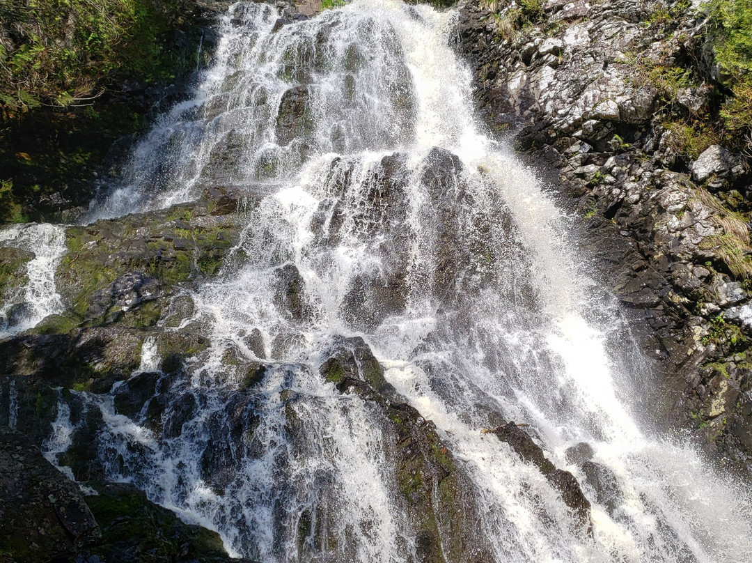 Maliseet Trail-Woodstock必去景点