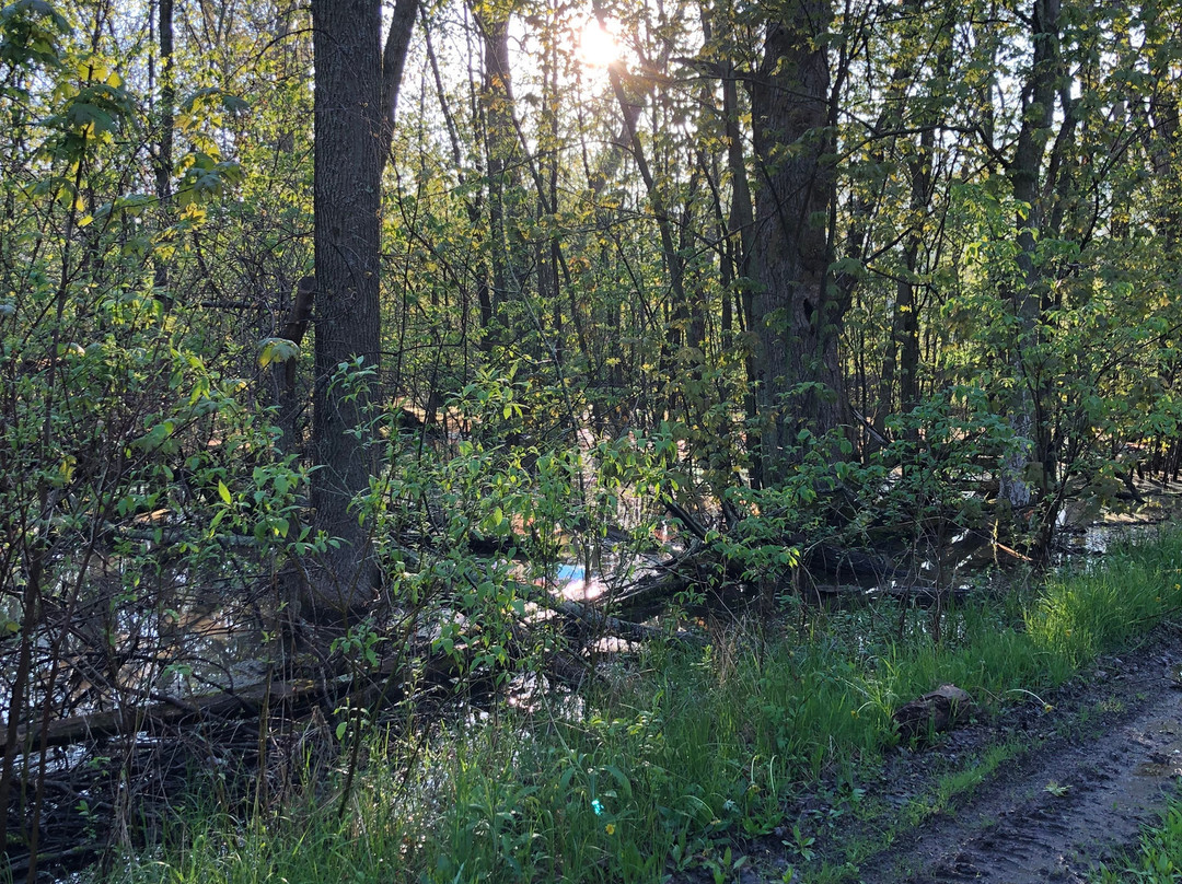 The Wilfrid Boutique Farmhouse主图