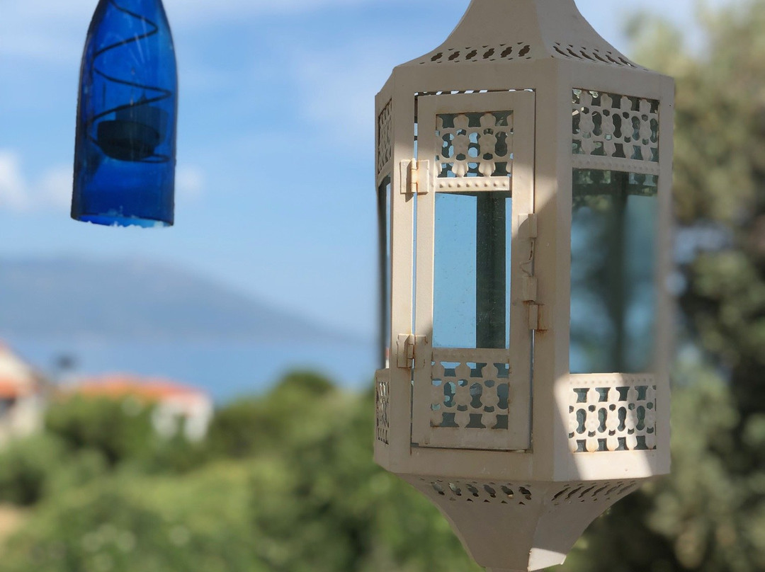 Ledra Samos Hotel主图