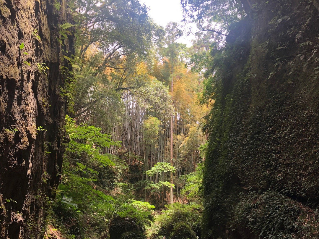 Ioki Cave-安艺市必去景点