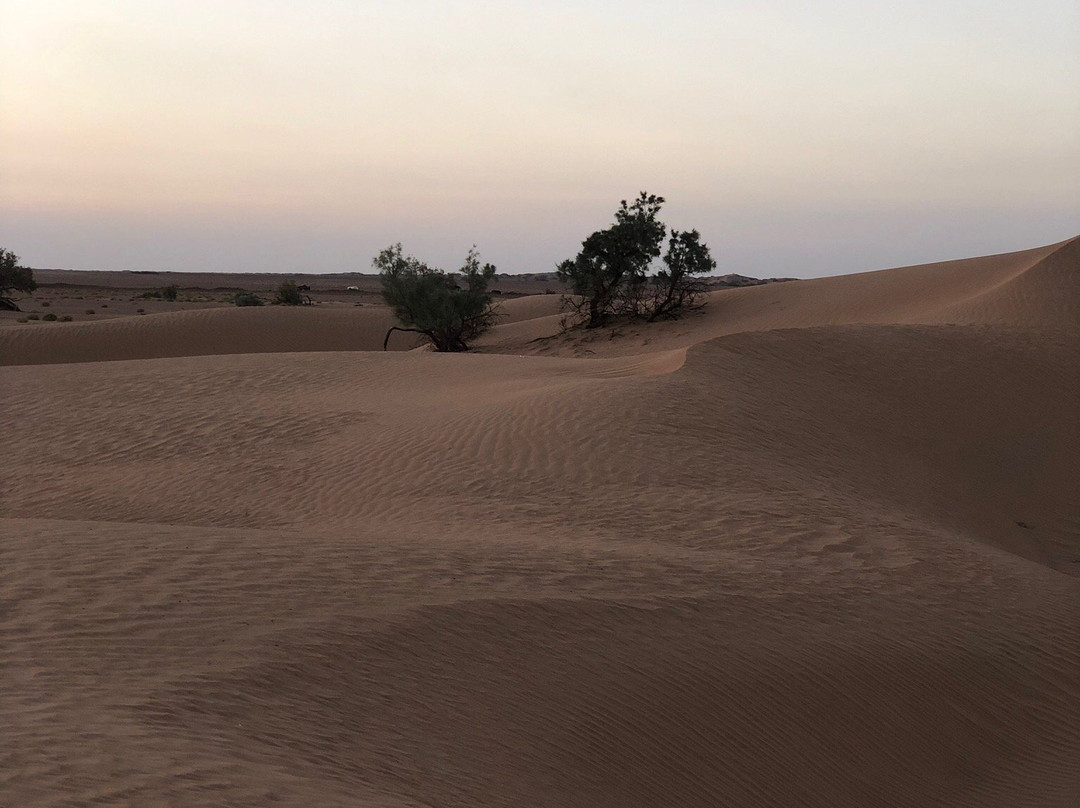 Desert Boussole Tours-马拉喀什必去景点