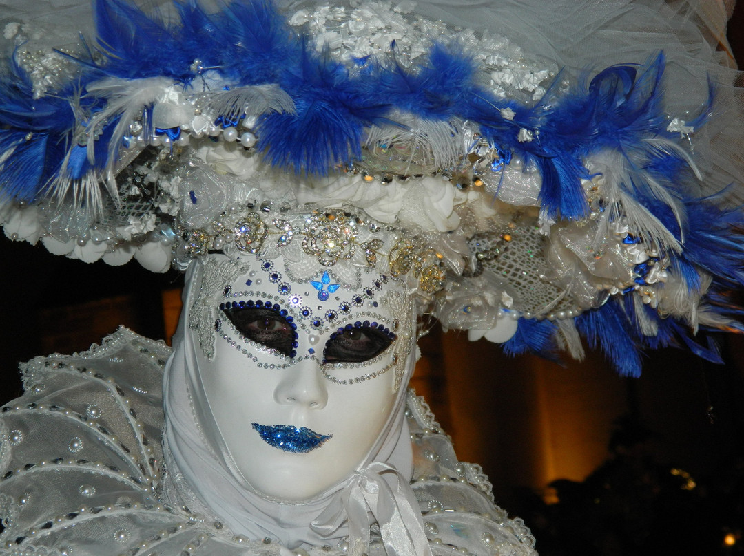 Carnaval Venitien de Remiremont景点图片