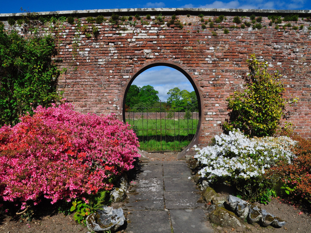 Bargany Gardens景点图片