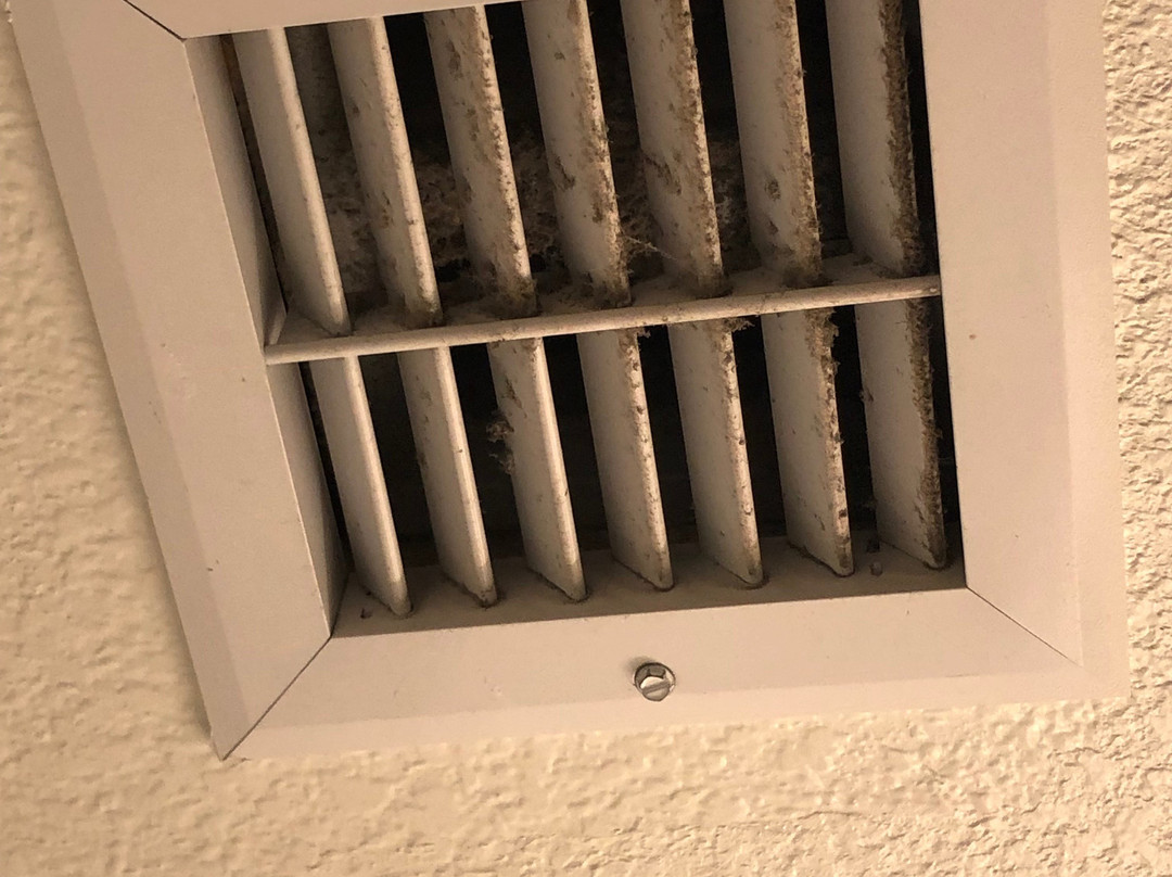 Holiday Inn & Suites Mckinney - N Allen By IHG主图