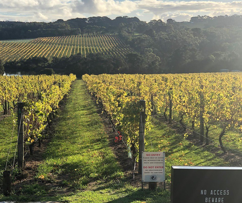 Jackalope Hotel主图