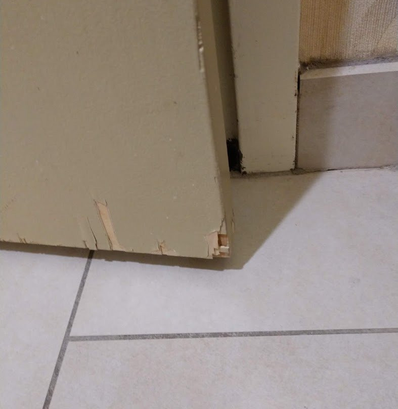 圣路易斯机场皇冠假日酒店主图