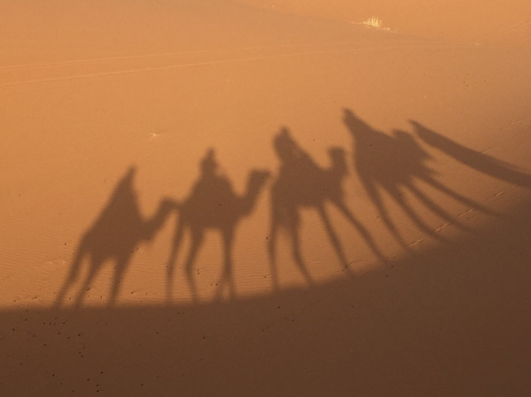 Auberge Les Roches主图