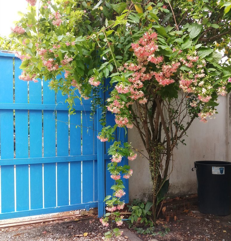 Penny Home Stay Resort主图