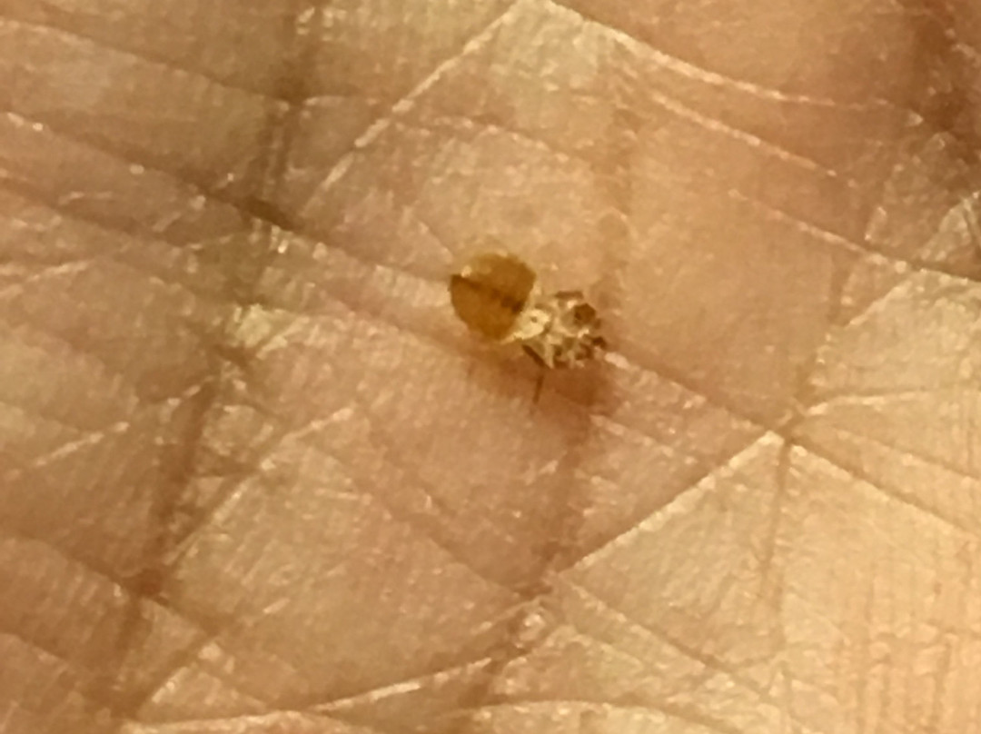 Best Western Plus John Jay Inn & Suites主图