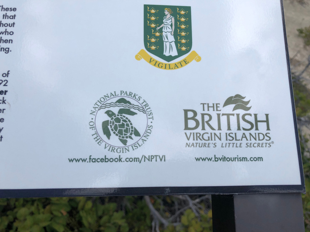 Flamingo Pond-Anegada必去景点