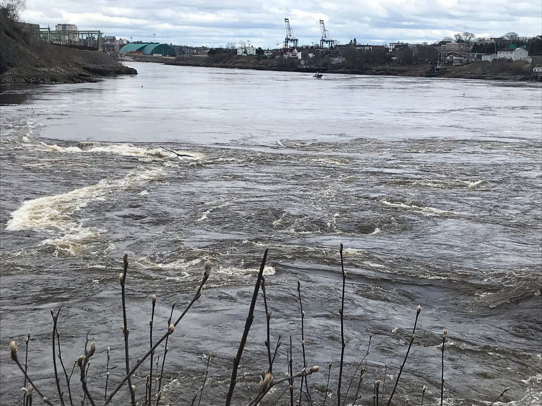 Reversing Falls Rapids景点图片