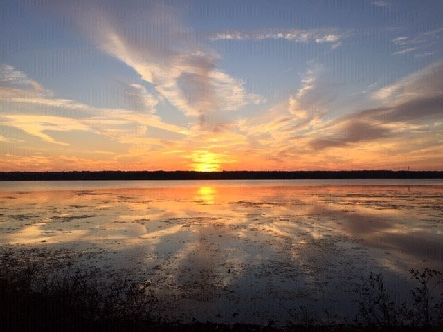 Mosquito Lake State Park景点图片