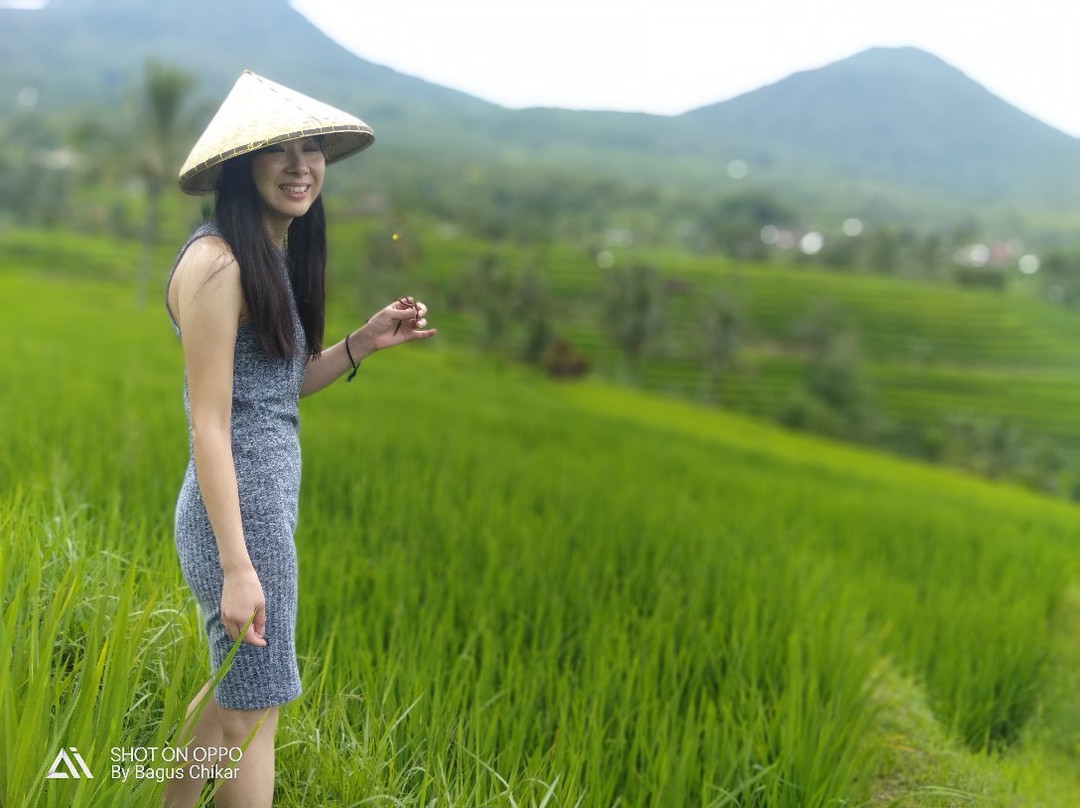 Bali Rice Padi-巴厘岛必去景点