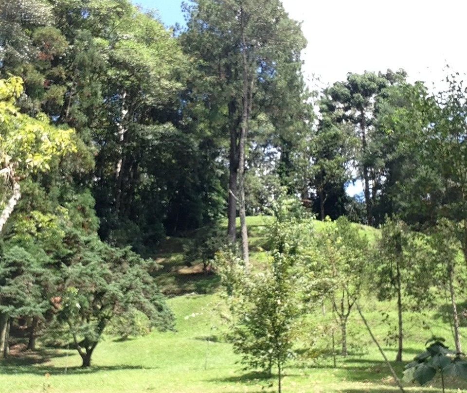 Jardin Botanico Francisco Javier Clavijero-哈拉帕必去景点