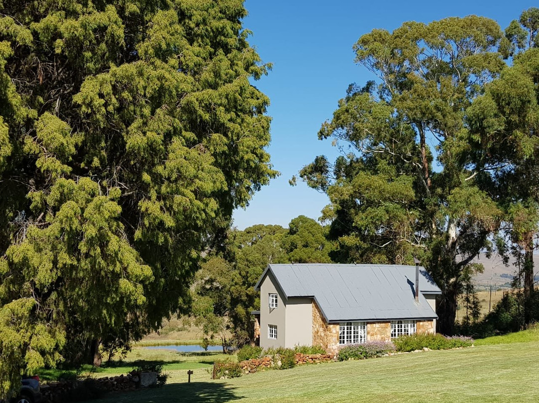 Cpirit Country Haven主图