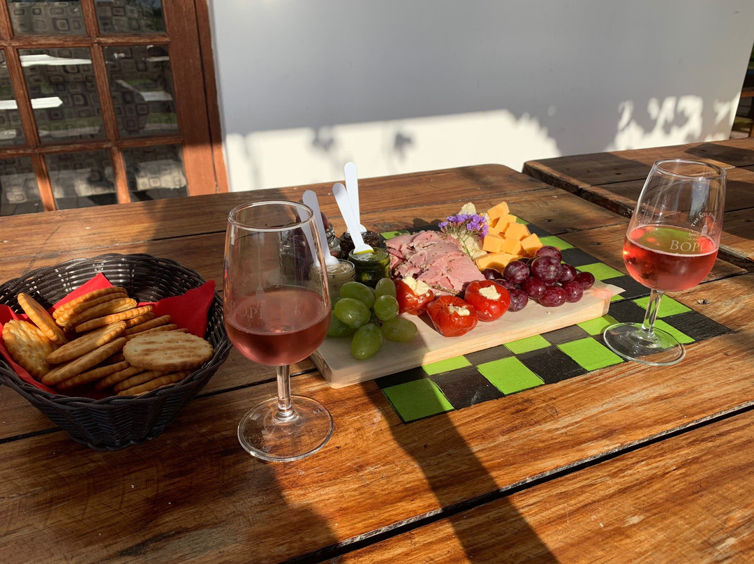 Boplaas Garden Route Tasting Room-克莱恩布拉克河必去景点