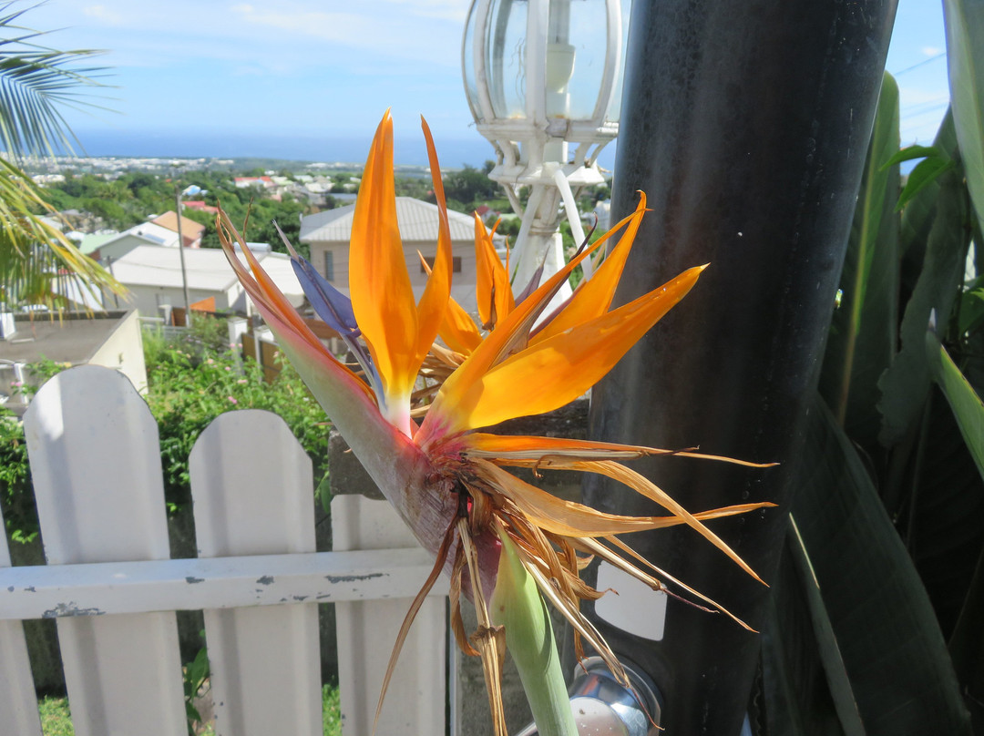 Chambres d'Hotes Nicole Maillot主图