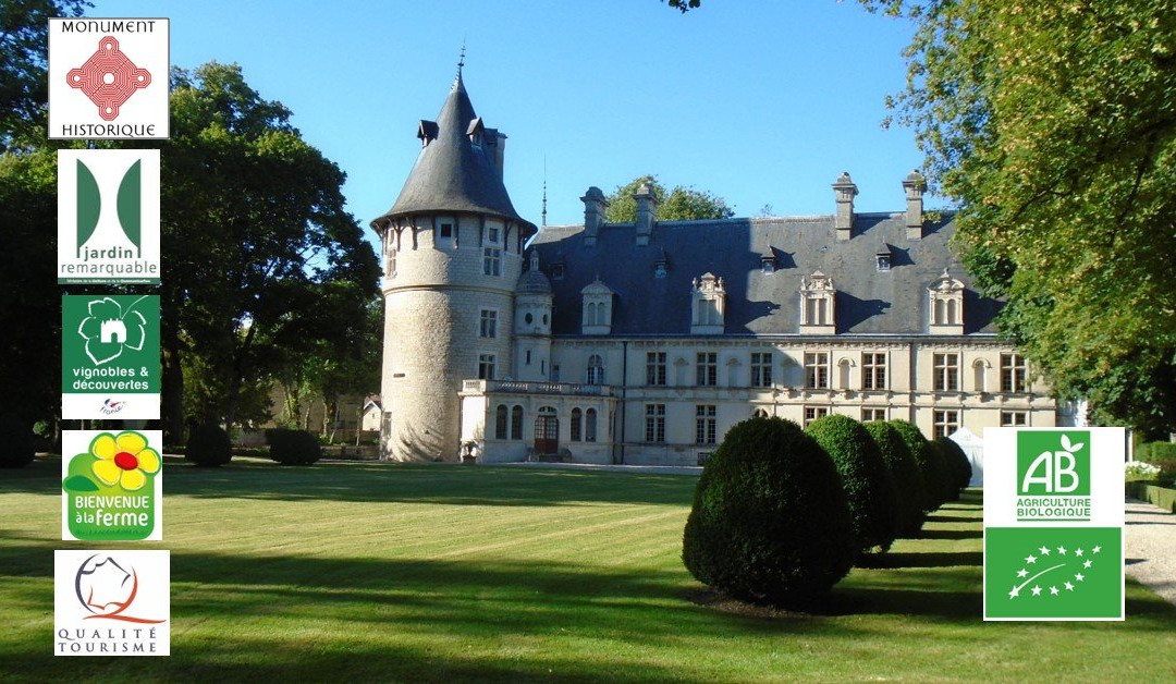 Château de Montigny-sur-Aube景点图片