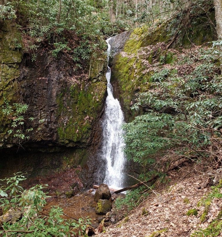 Backbone Rock Waterfall景点图片