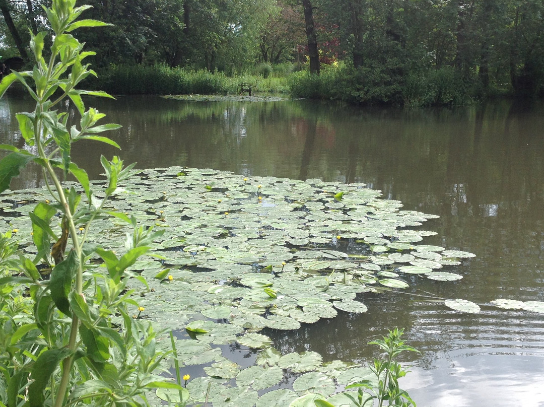 Langdale Lodge B&B主图
