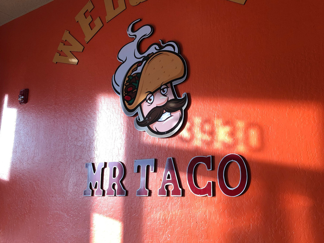 Mr Taco