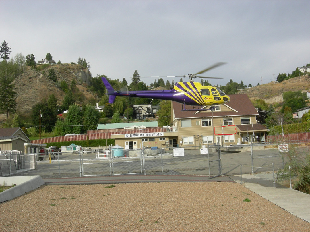Summerland Trout Hatchery And Visitor Centre景点图片