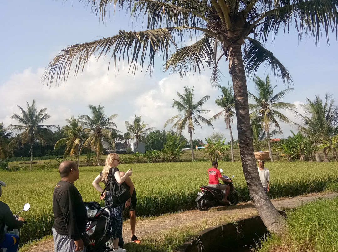 Bali Experience Adventure Tour景点图片