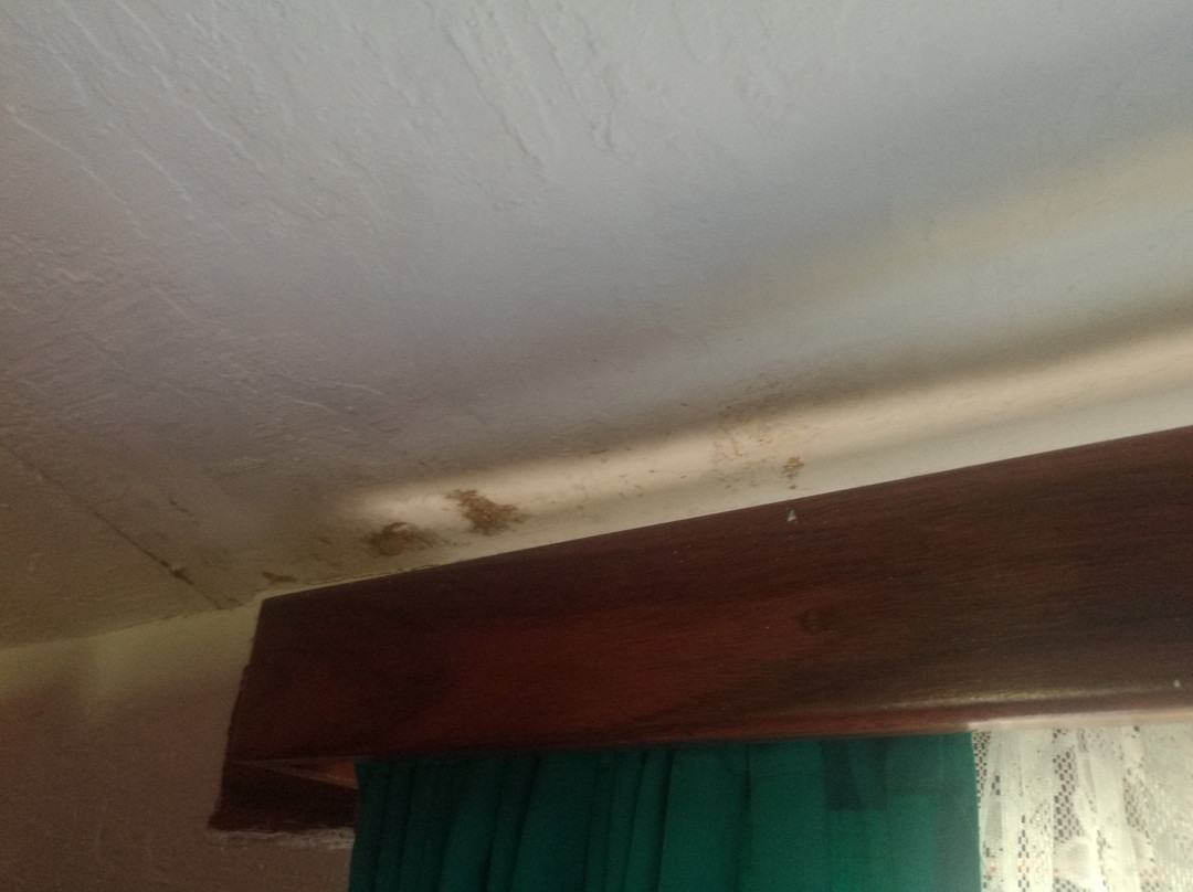 El Hotel Samoa del Sur主图